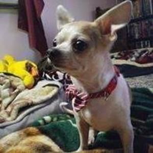 Meet your Posher, Cheryl